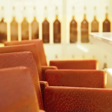 호텔 함부르크 호프 3*